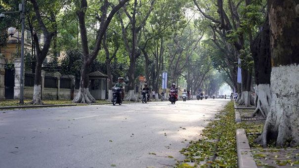 Dự báo thời tiết ngày 14/8: Bắc Bộ giảm mưa, trời hửng nắng
