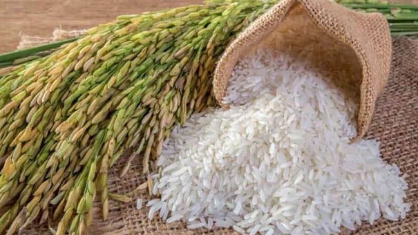 Giá lúa gạo hôm nay 16/8/2022: Giá gạo nguyên liệu duy trì ổn định