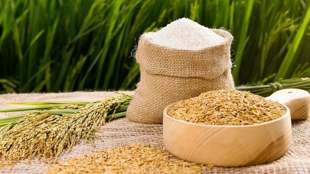 Giá lúa gạo hôm nay 18/8: Giá gạo giảm 50 – 150 đồng/kg