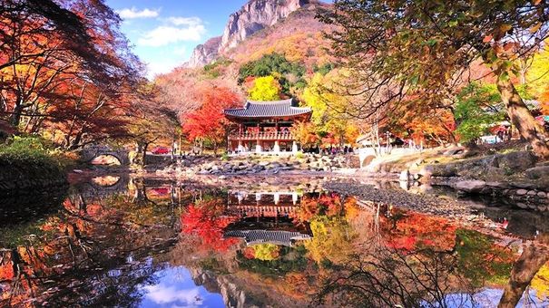 KHUYẾN MẠI THU 2022: “KHÚC THU CA – MÙA TRAO KHOẢNH KHẮC” TỔNG CHƯƠNG TRÌNH ƯU ĐÃI LÊN ĐẾN 03 TỶ ĐỒNG