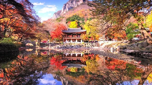 KHUYẾN MẠI THU 2022: “KHÚC THU CA – MÙA TRAO KHOẢNH KHẮC” TỔNG CHƯƠNG TRÌNH ƯU ĐÃI LÊN ĐẾN 03 TỶ ĐỒNG