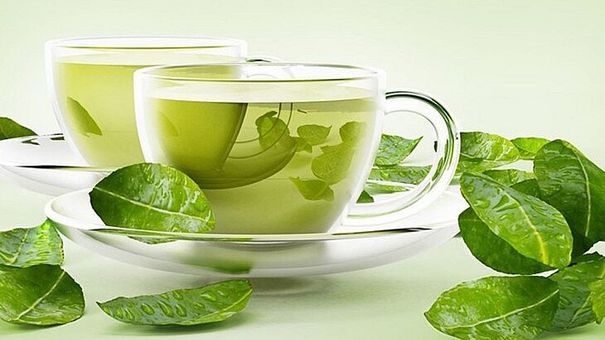 Một số công dụng tuyệt vời từ cây chè xanh