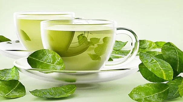 Một số công dụng tuyệt vời từ cây chè xanh