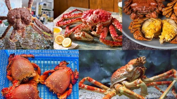 Mẹo bảo quản cua tươi ngon, giữ nguyên hương vị ban đầu
