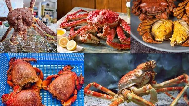 Mẹo bảo quản cua tươi ngon, giữ nguyên hương vị ban đầu