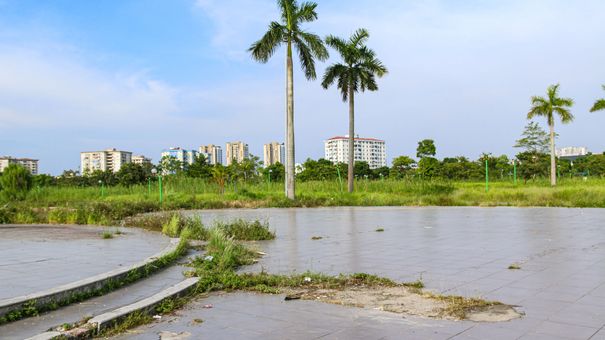Công viên 16 ha ở Hà Nội bỏ hoang thành nơi trồng rau, đánh cá