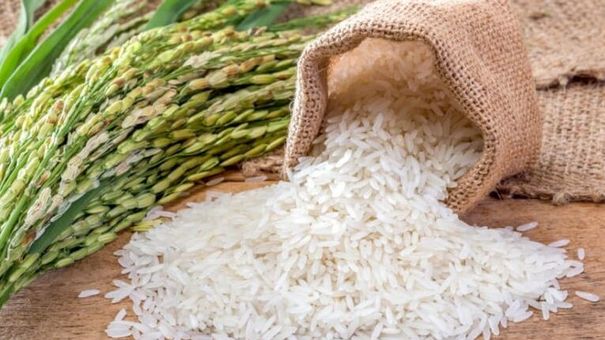 Giá lúa gạo hôm nay 12/9/2022: Thị trường gạo thế giới sôi động