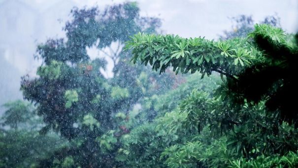 Dự báo thời tiết ngày 23/9: Hà Nội nhiều mây, mưa to và dông