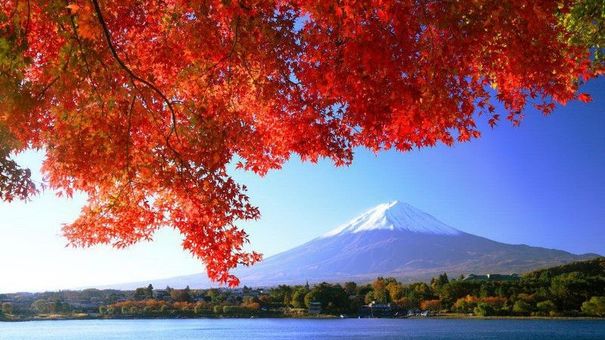 Vietravel tung gói ưu đãi hấp dẫn cho các tuyến du lịch đến Đông Bắc Á