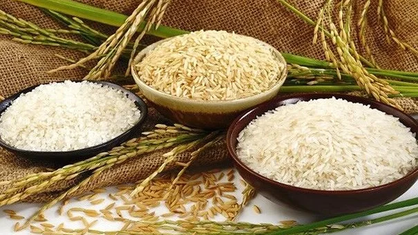 Giá lúa gạo hôm nay 26/9: Giao dịch bớt trầm lắng