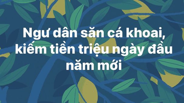 Ngư dân săn cá khoai, kiếm tiền triệu ngày đầu năm mới