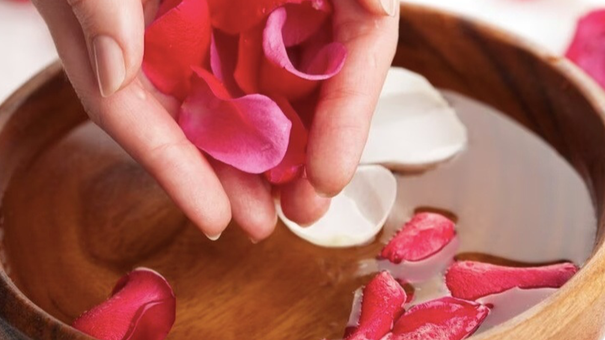 Hoa hồng vị thuốc độc đáo từ thiên nhiên