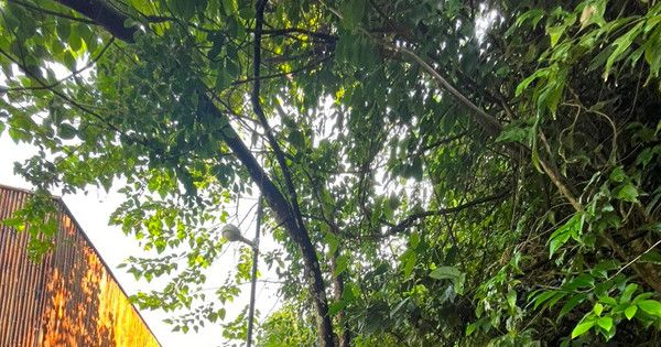 Bên trong ngôi làng Việt Nam vừa được nhận giải thưởng 