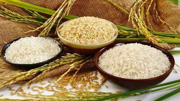 Tìm ra giống lúa hạn chế được nguy cơ bệnh tiểu đường