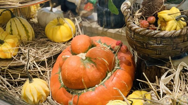 Săn mua set bí ngô đẹp hút mắt ‘sống ảo’ dịp Halloween