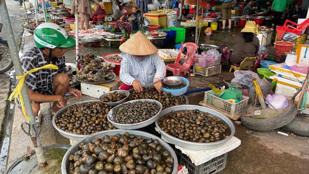 Đồng Tháp: Thu hoạch thủy sản mùa nước nổi không nhiều, giá bán tăng