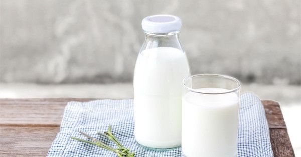 Loại sữa tốt sức khỏe được những người sống thọ trăm tuổi ưa chuộng