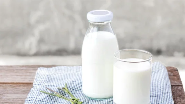 Loại sữa tốt sức khỏe được những người sống thọ trăm tuổi ưa chuộng