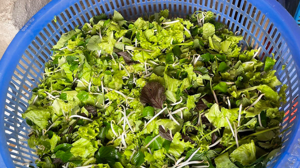 Những loại rau sống ngon mấy cũng tuyệt đối không ăn