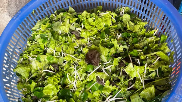 Những loại rau sống ngon mấy cũng tuyệt đối không ăn