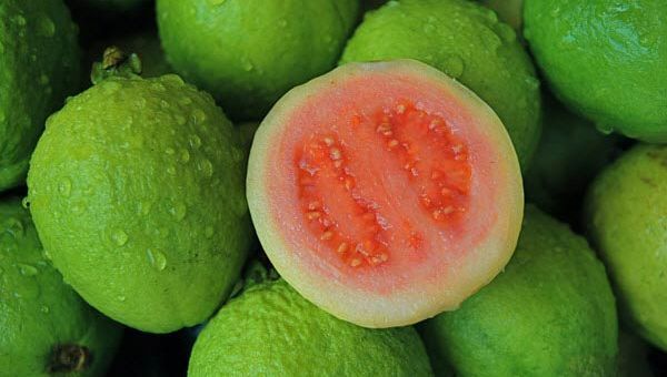 Loại Quả Phù Hợp Cho Bệnh Nhân Tiểu Đường Và Cung Cấp Vitamin C
