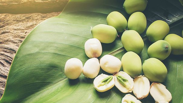 11 Công Dụng Không Ngờ Của Hạt Sen