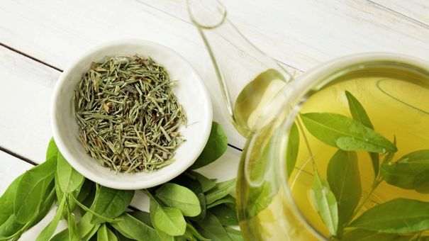 Top 5 Thức Uống Dành Cho Người Cholesterol Cao