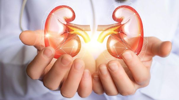 Uống đủ nước liên quan tới sức khỏe thận như thế nào?