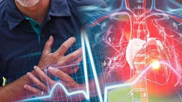 Nghiên cứu trên 200 triệu người, phát hiện “mối liên hệ” giữa nhịp tim và tuổi thọ: Trên 60 tuổi tim đập nhanh hay chậm là tốt hơn?