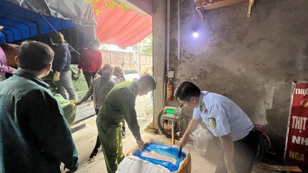 Thu Giữ 10 Tấn Nầm Lợn Không Rõ Nguồn Gốc Tại Yên Bái
