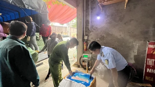 Thu Giữ 10 Tấn Nầm Lợn Không Rõ Nguồn Gốc Tại Yên Bái
