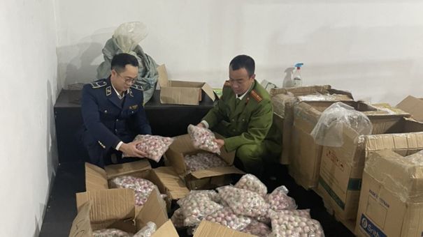 'Kẹo Hình Mắt Người' Bị Thu Giữ Tại Huyện Đông Anh