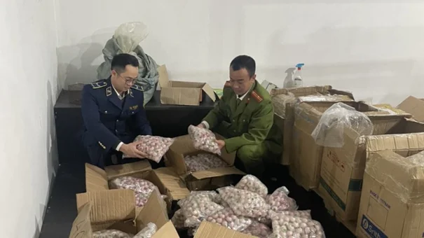 'Kẹo Hình Mắt Người' Bị Thu Giữ Tại Huyện Đông Anh
