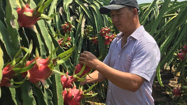 Thị trường Trung Quốc “ăn hàng