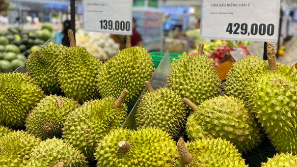 Mức siêu lợi nhuận của 'bất động sản' sầu riêng gây tranh cãi