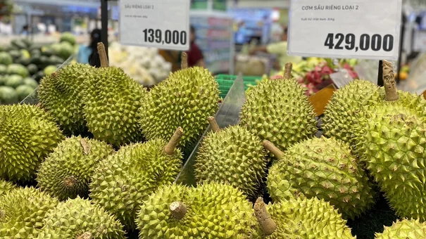Mức siêu lợi nhuận của 'bất động sản' sầu riêng gây tranh cãi