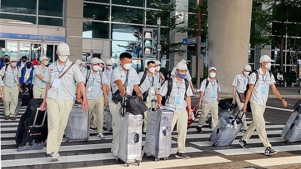 4 doanh nghiệp xuất khẩu lao động bị thu hồi giấy phép