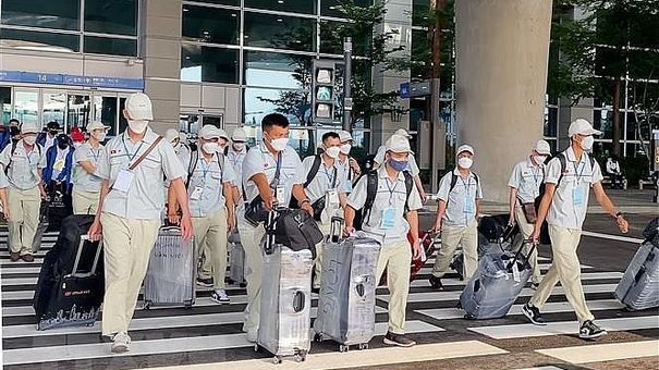 4 doanh nghiệp xuất khẩu lao động bị thu hồi giấy phép