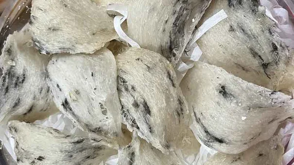 Một công ty yến sào ở Bình Thạnh xuất hóa đơn 34.000 tỉ trong 7 ngày