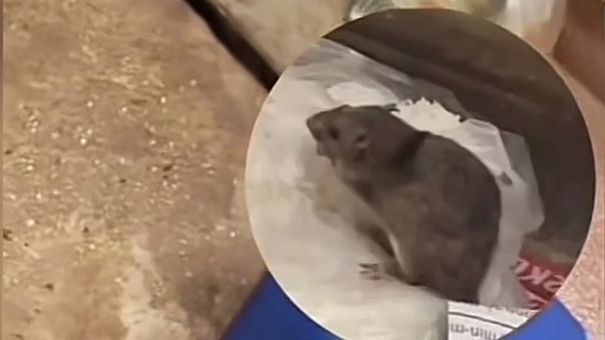 Công an xác minh quán ăn tại Hà Nội có con chuột 