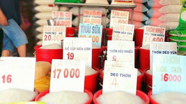Giá gạo trong nước và xuất khẩu tăng vọt