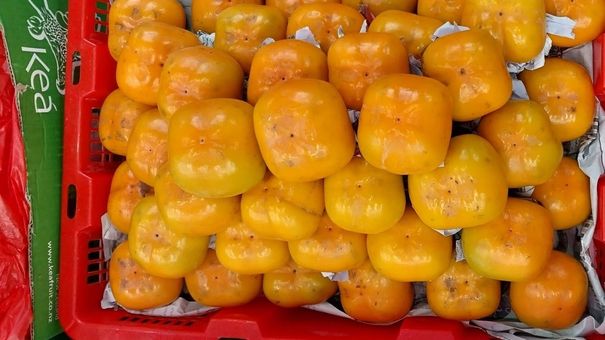 Hồng giòn Thái lần đầu nhập về chợ, giá rẻ hơn hàng Việt