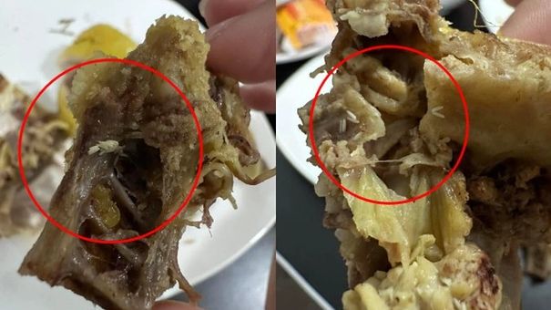 Hà Nội: Đang ăn gà luộc, cô gái phát hiện thấy trứng dòi lúc nhúc bên trong