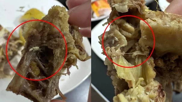 Hà Nội: Đang ăn gà luộc, cô gái phát hiện thấy trứng dòi lúc nhúc bên trong
