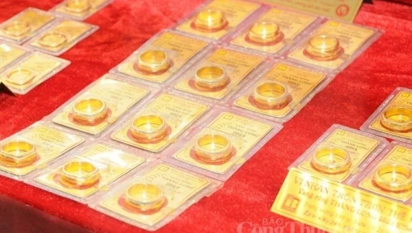 Giá vàng hôm nay 24/8/2023: Giá vàng 9999, SJC, BTMC, DOJI, PNJ, 24k cùng vàng thế giới bất ngờ tăng mạnh