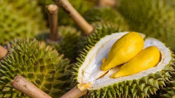 Vỏ quả sầu riêng: Tưởng vô dụng nhưng lại vô vàn lợi ích