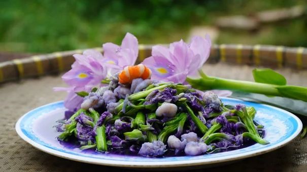 Người Việt thường vứt bỏ bèo tây, hóa ra đây là vị thuốc quý, món ăn ngon tại nhiều nước