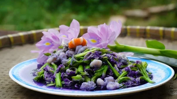 Người Việt thường vứt bỏ bèo tây, hóa ra đây là vị thuốc quý, món ăn ngon tại nhiều nước