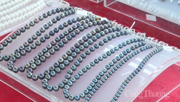 Giá vàng hôm nay 11/9/2023: Giá vàng 9999, SJC, 24K, DOJI tuần tới ra sao?