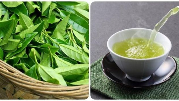 Điều gì xảy ra nếu bạn uống nước chè xanh mỗi ngày?